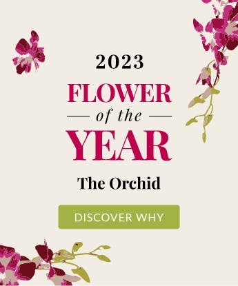 2023 Flower of the Year